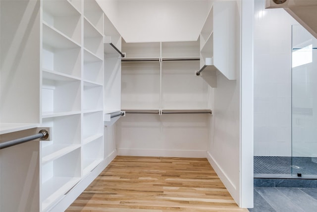 walk in closet with light wood finished floors