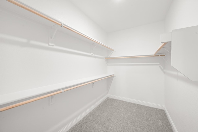 spacious closet with carpet flooring