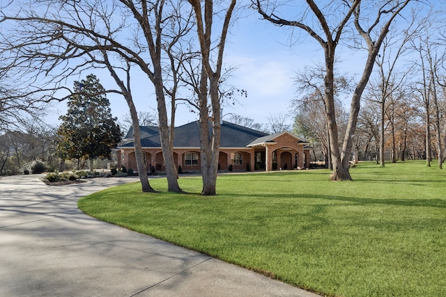 ranch-style house featuring a front yard