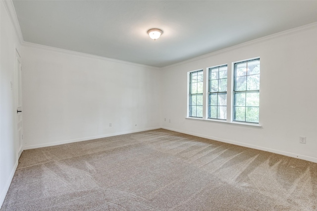 spare room featuring ornamental molding and carpet floors