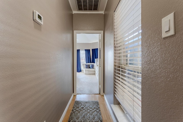 corridor featuring light hardwood / wood-style flooring