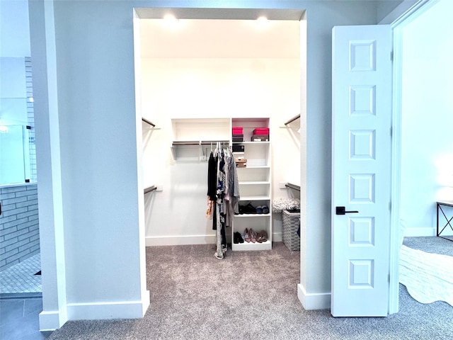 walk in closet featuring carpet