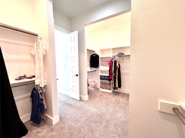 spacious closet featuring light colored carpet