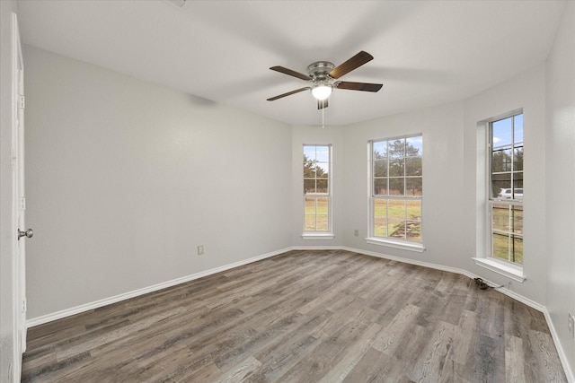 empty room with ceiling fan and wood-type flooring