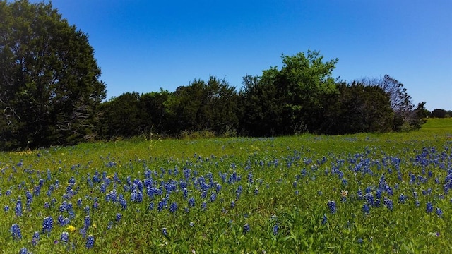 LOT37 Royal Winchester Dr, Cleburne TX, 76033 land for sale