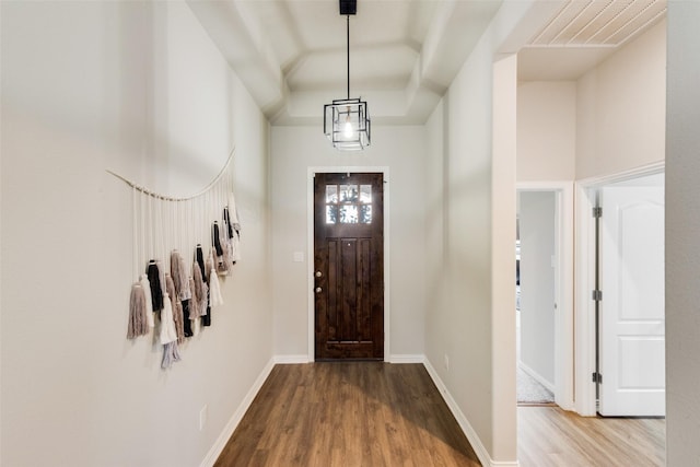 entryway featuring hardwood / wood-style flooring and a raised ceiling