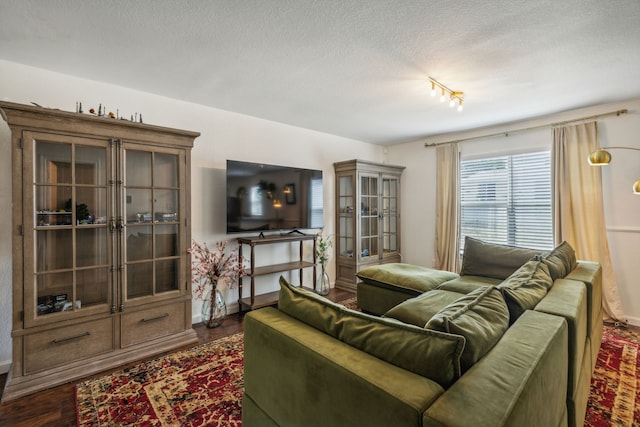 living room with dark hardwood / wood-style floors and a textured ceiling