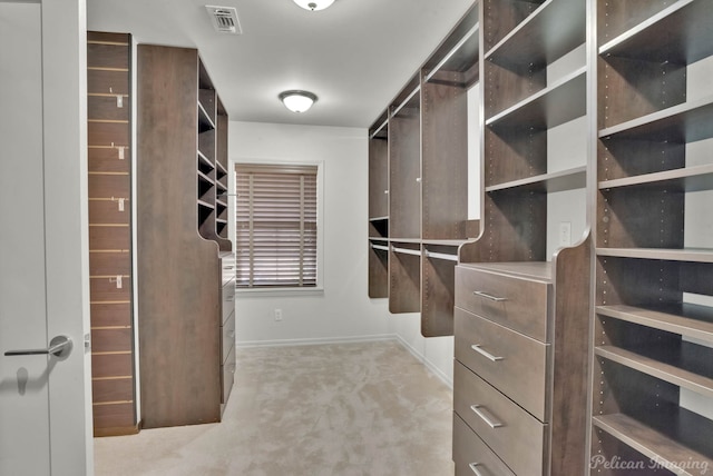 walk in closet with light colored carpet