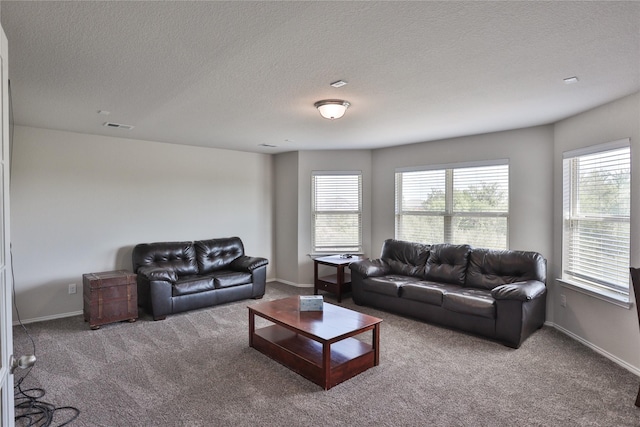 living room with a textured ceiling, carpet, and a wealth of natural light