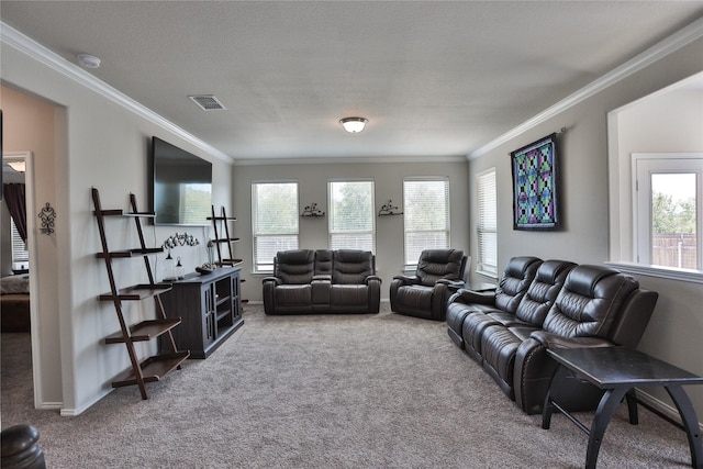 carpeted living room featuring crown molding and a textured ceiling