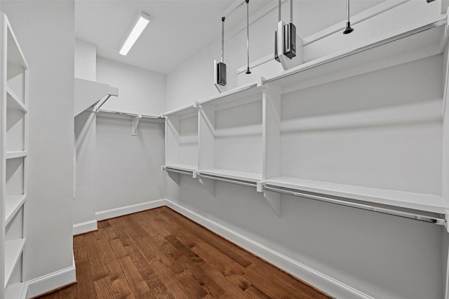 walk in closet featuring dark hardwood / wood-style floors