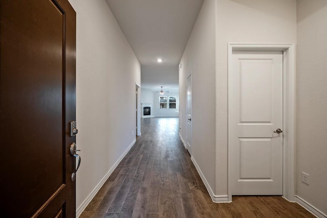 corridor featuring dark hardwood / wood-style floors