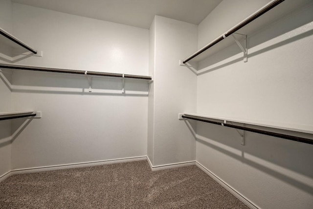 spacious closet with carpet