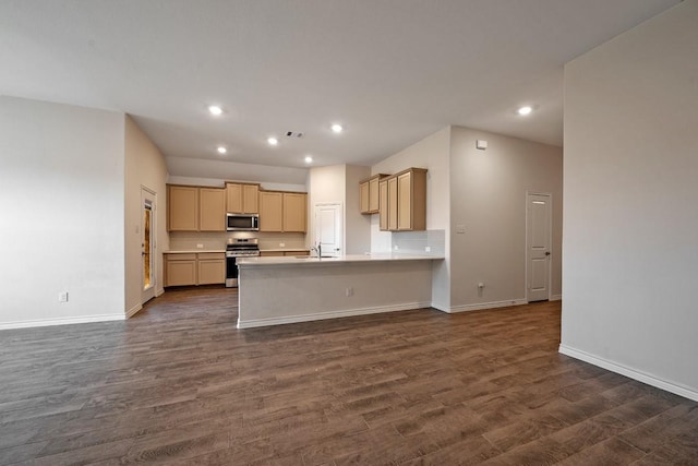 kitchen featuring sink, stainless steel appliances, dark hardwood / wood-style floors, and light brown cabinets