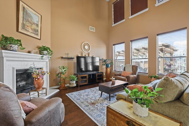 living room featuring dark wood-type flooring