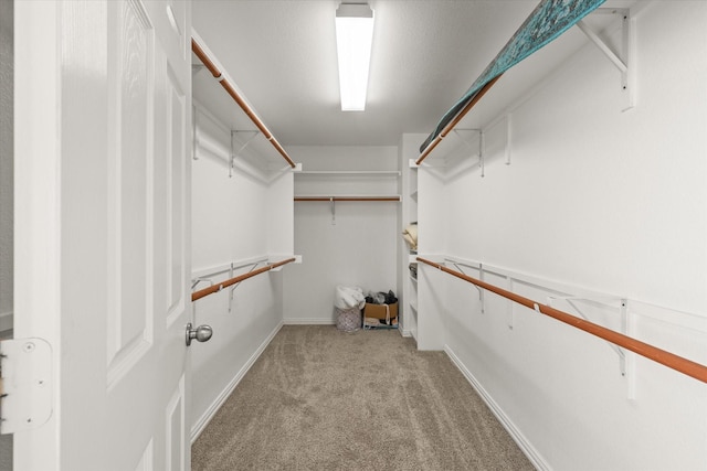 walk in closet with light colored carpet