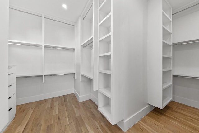 spacious closet featuring light wood-type flooring