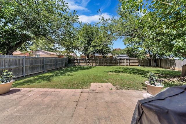 view of yard featuring a patio area