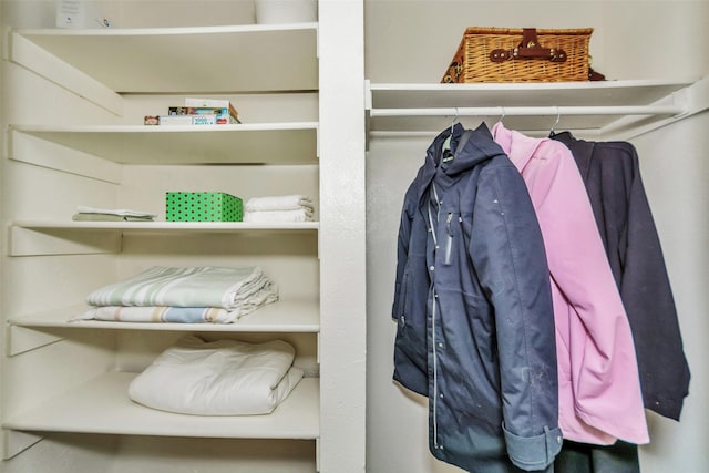 view of closet