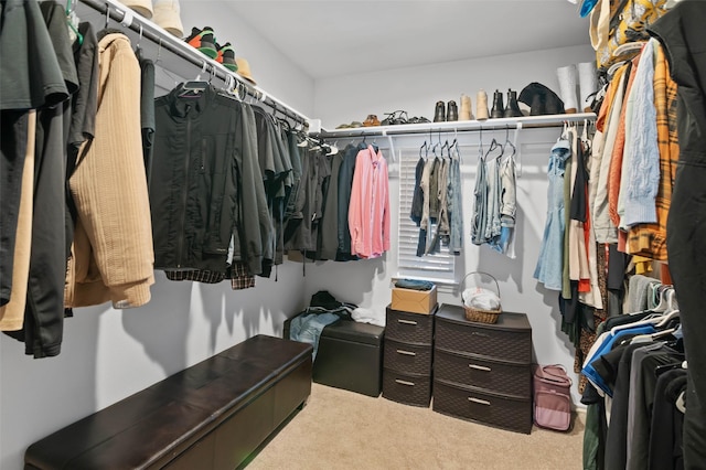 walk in closet featuring light carpet