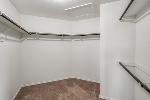 spacious closet with carpet floors