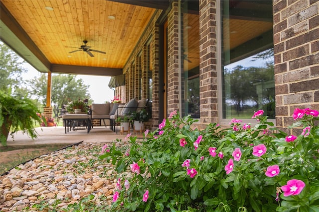 view of patio / terrace with ceiling fan