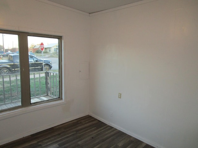 empty room featuring crown molding and dark hardwood / wood-style flooring