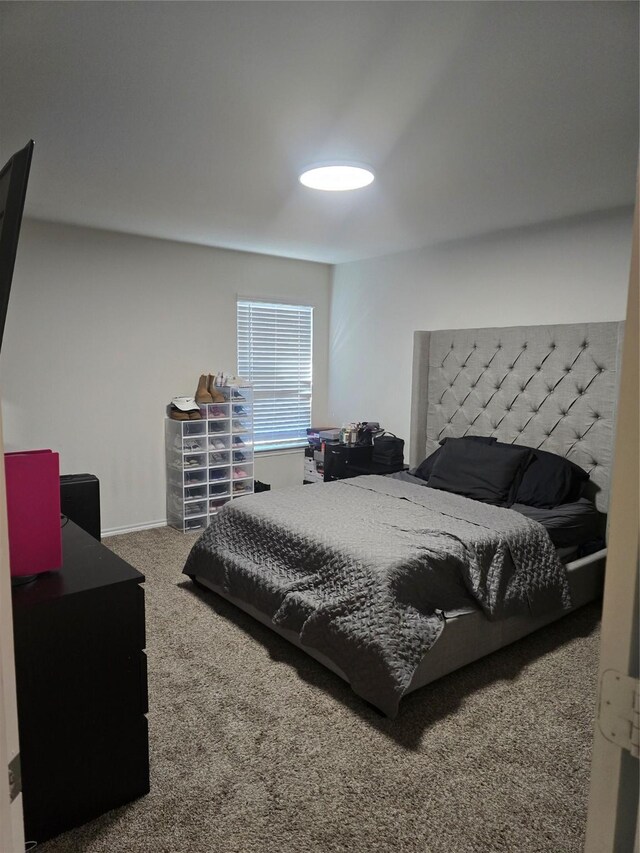 bedroom featuring carpet flooring