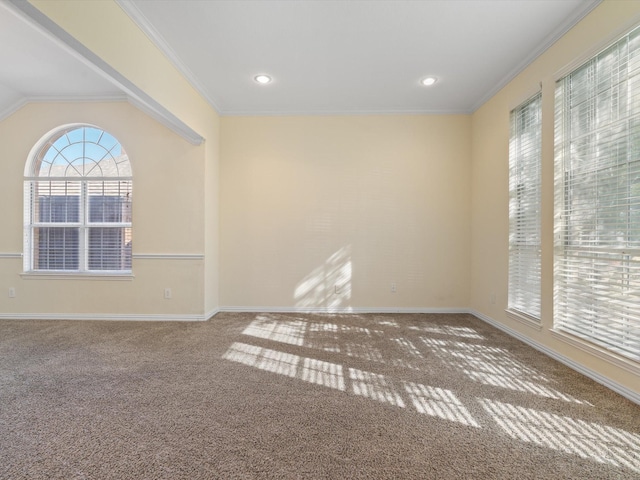 empty room with crown molding and carpet flooring