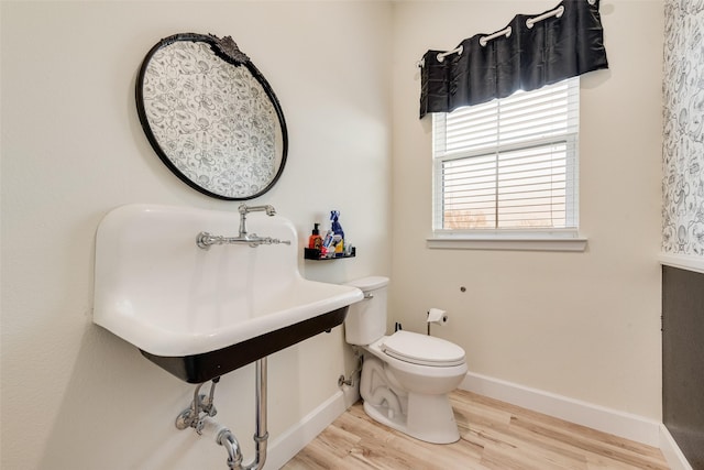 bathroom with toilet and wood-type flooring