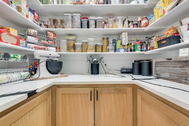 view of pantry