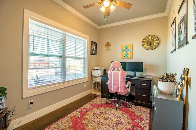 office with ornamental molding, ceiling fan, and dark hardwood / wood-style flooring