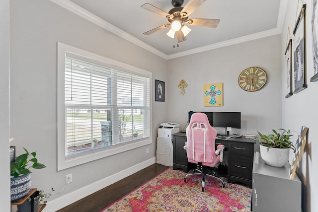 office space featuring a ceiling fan, dark wood finished floors, baseboards, and ornamental molding