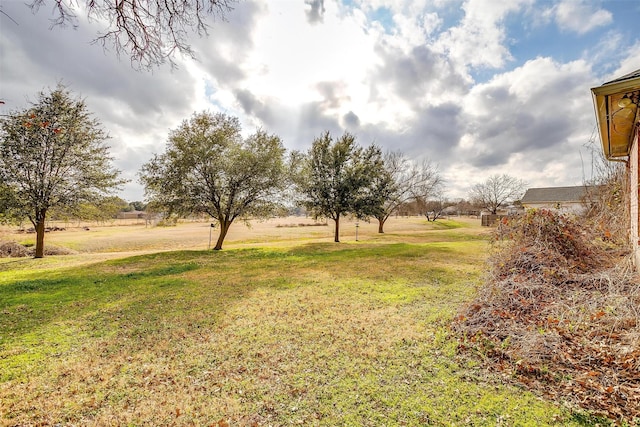 view of yard featuring a rural view