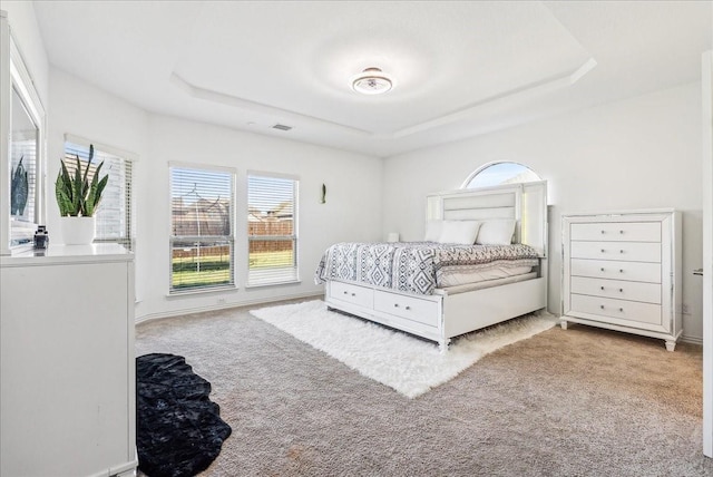 bedroom with multiple windows, carpet flooring, and a tray ceiling