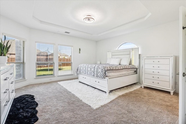 carpeted bedroom featuring a tray ceiling and multiple windows