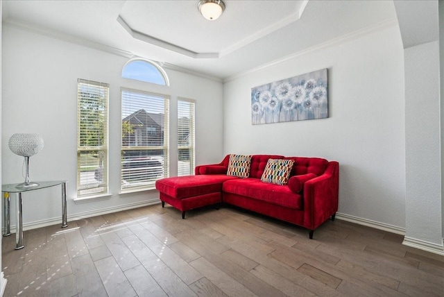 living room with crown molding, a tray ceiling, and hardwood / wood-style flooring