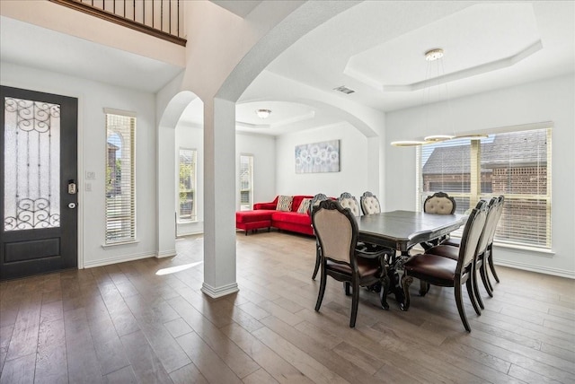 dining room with a tray ceiling and dark hardwood / wood-style floors