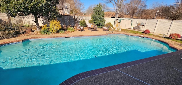 view of pool featuring a patio and a storage unit