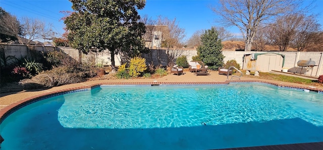 view of swimming pool featuring a patio and a storage unit