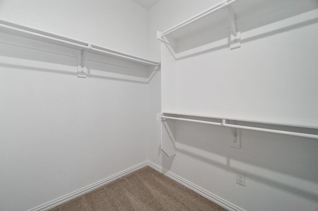 3244 Cross Shore Dr, Anna, TX 75409 - spacious closet with dark carpet