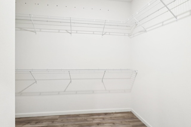 walk in closet with wood-type flooring