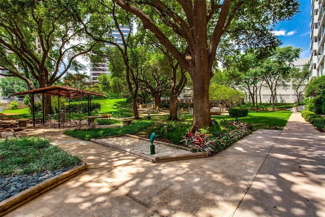 view of property's community with a yard