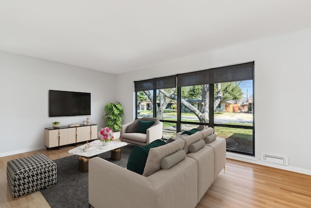 living room with light hardwood / wood-style flooring