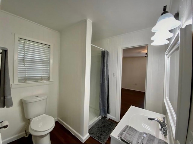 bathroom with wood-type flooring, toilet, a shower with shower curtain, and vanity