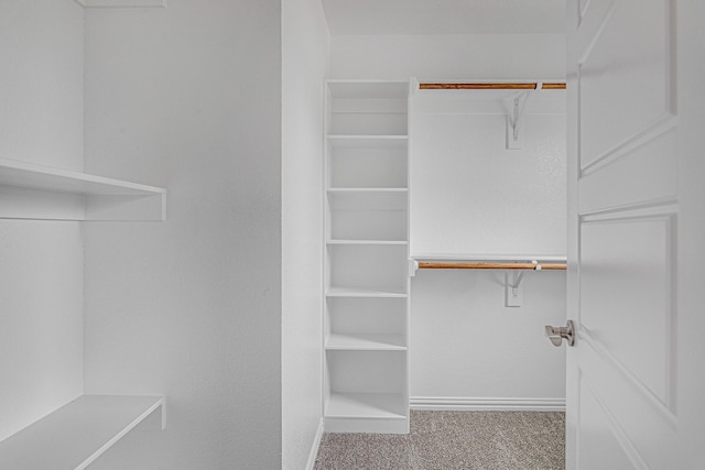 walk in closet with light colored carpet