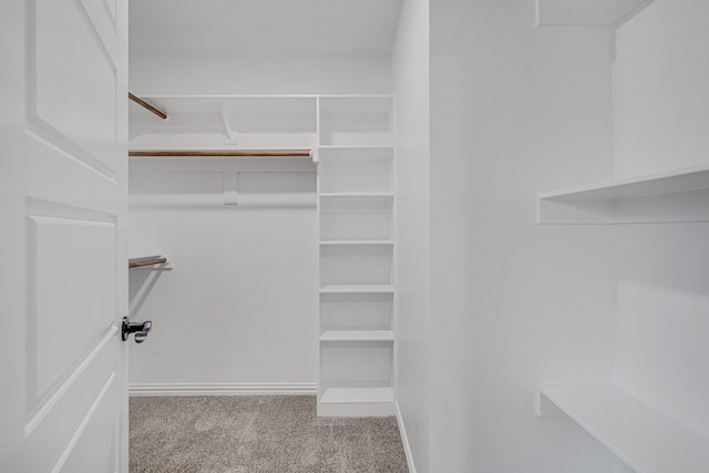 walk in closet featuring light carpet