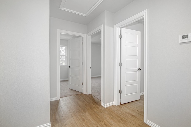 hall featuring light wood-type flooring