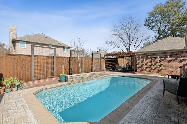 view of swimming pool with a patio and a pergola