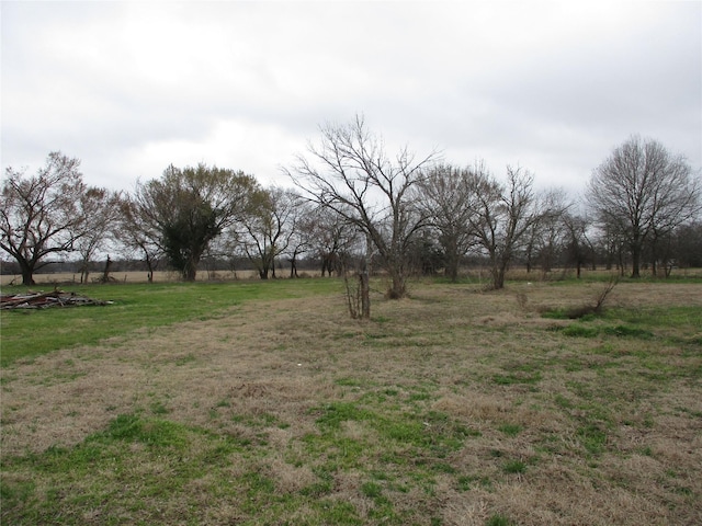 Listing photo 3 for TBD S Fm 779, Emory TX 75440